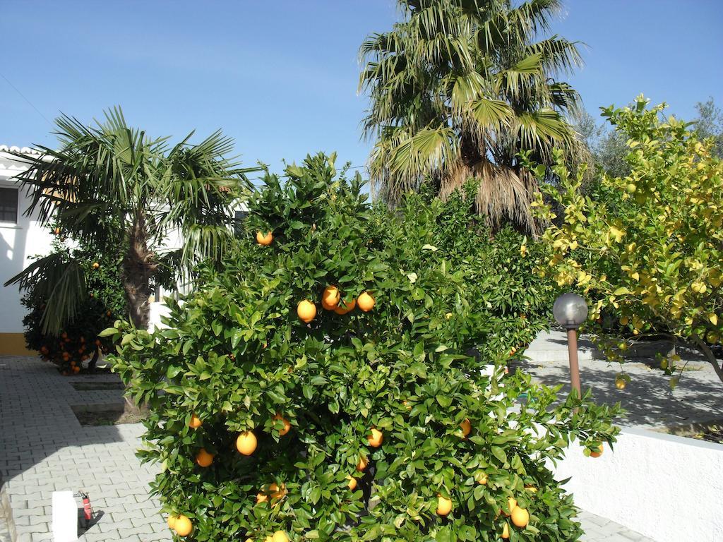 Willa Casa De Campo Quinta Sao Jorge Reguengos de Monsaraz Zewnętrze zdjęcie
